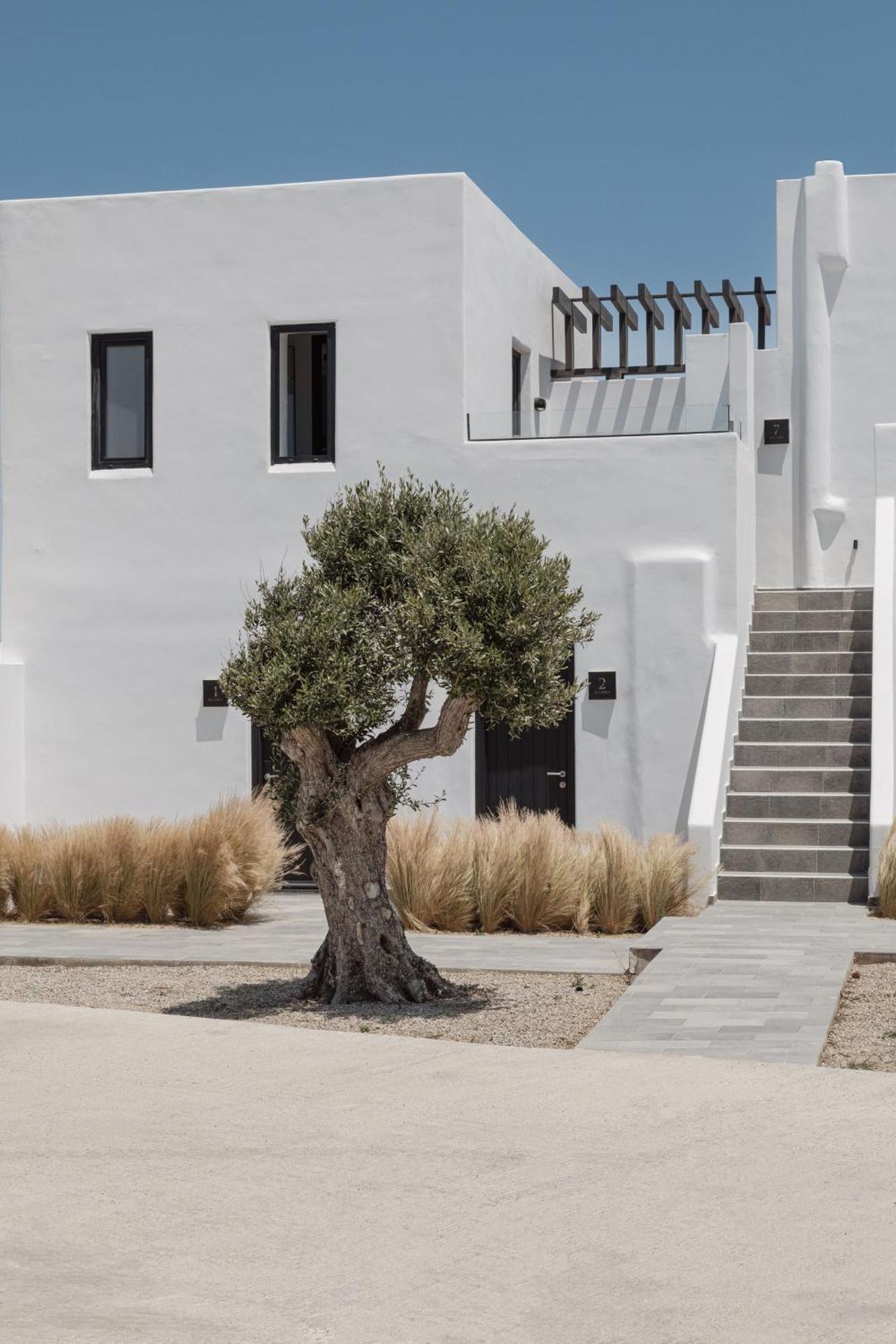 Laguna Suites In Mazera Mykonos Mykonos Town Εξωτερικό φωτογραφία